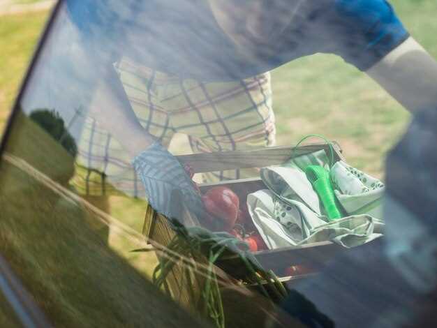 Best products for cleaning car windows and mirrors